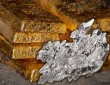 Обзор рынка драгметаллов: 29 февраля 2016 года 